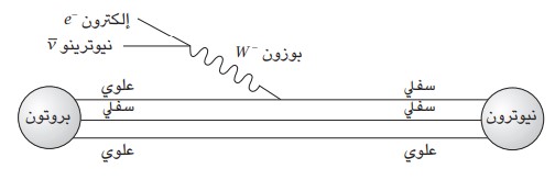 حاملات القوى 